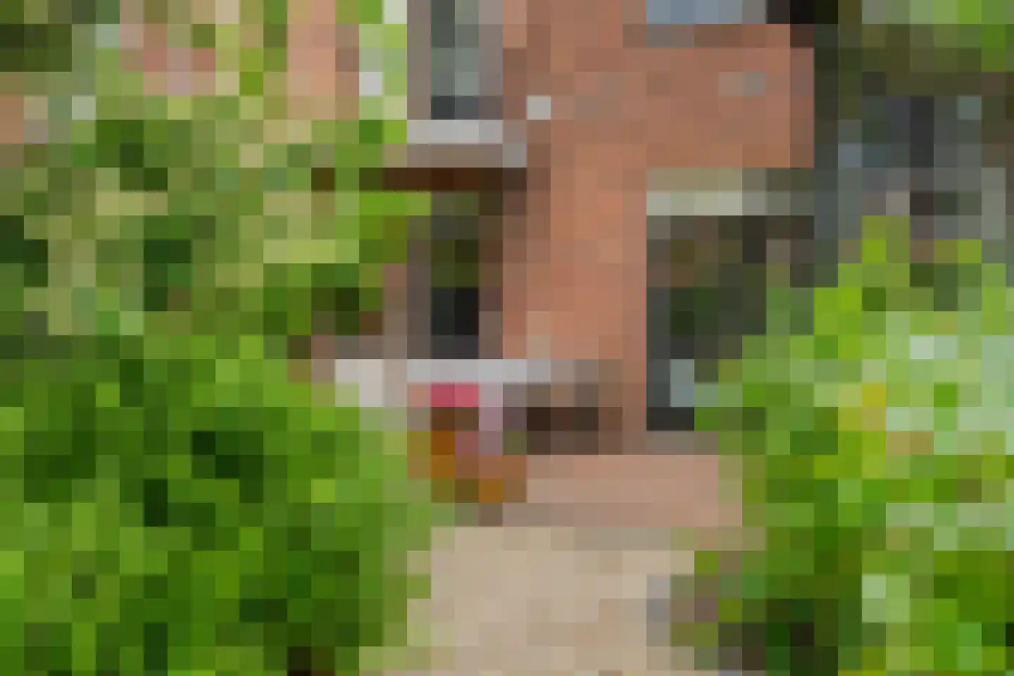 van Wassenaerlaan 46 Oegstgeest thumbnail 46