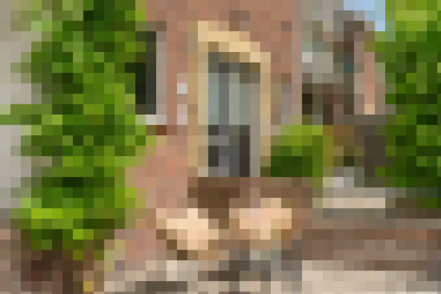 van Wassenaerlaan 46 Oegstgeest thumbnail 7