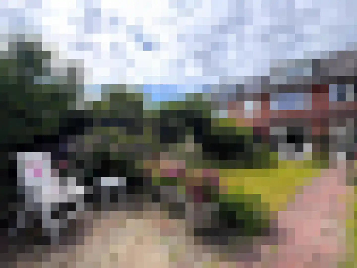 Van Wassenaerlaan 5 Hilversum thumbnail 12