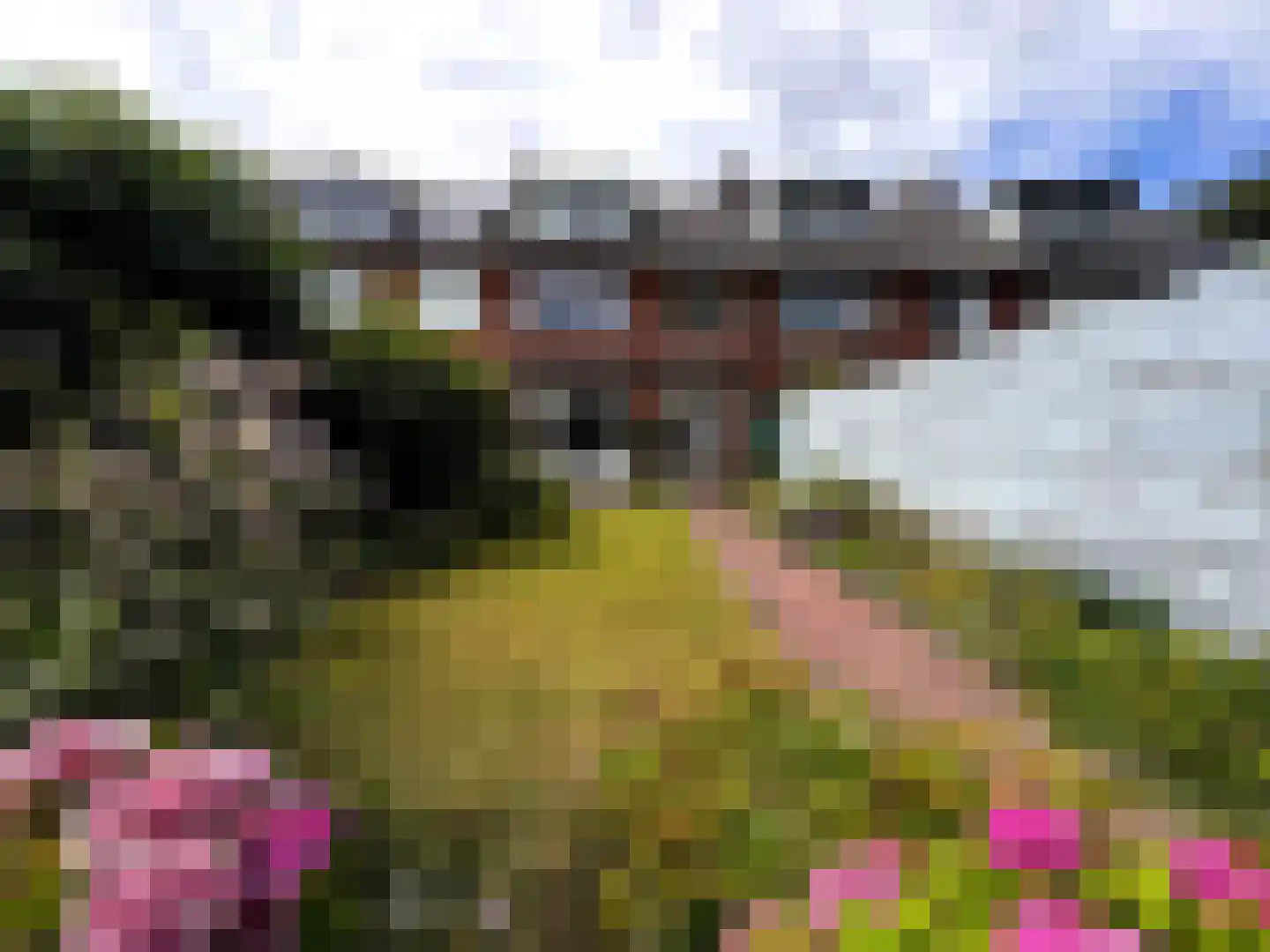 Van Wassenaerlaan 5 Hilversum thumbnail 13