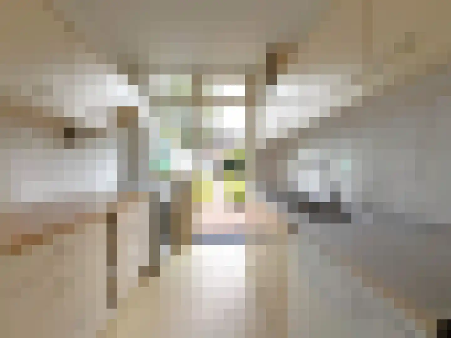 Van Wassenaerlaan 5 Hilversum thumbnail 17