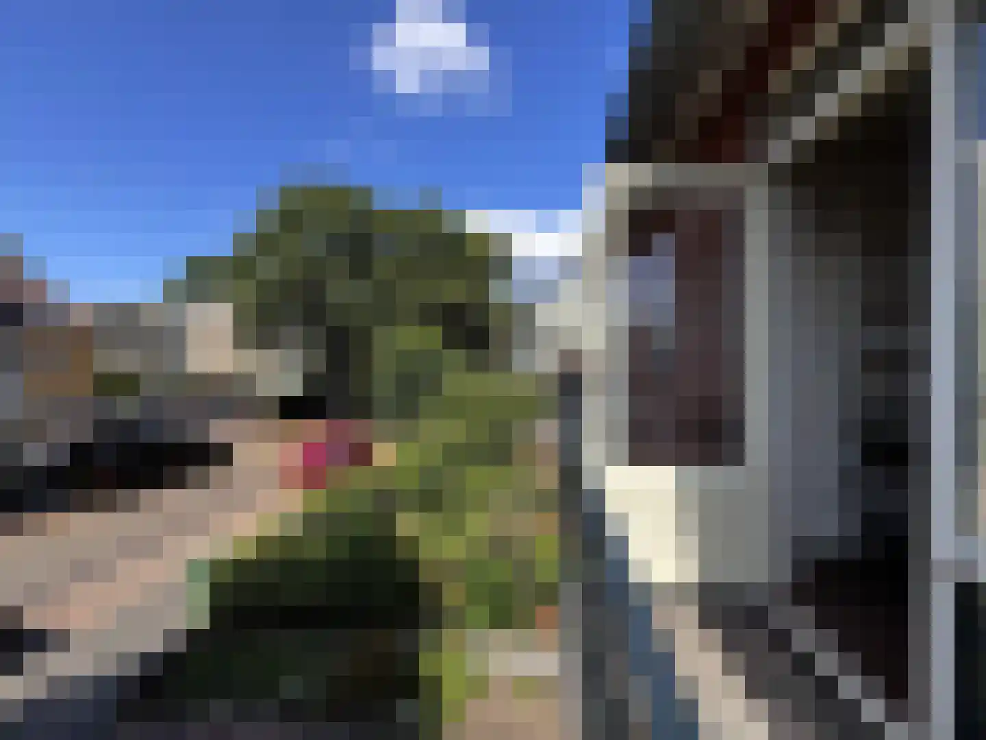 Van Wassenaerlaan 5 Hilversum thumbnail 28