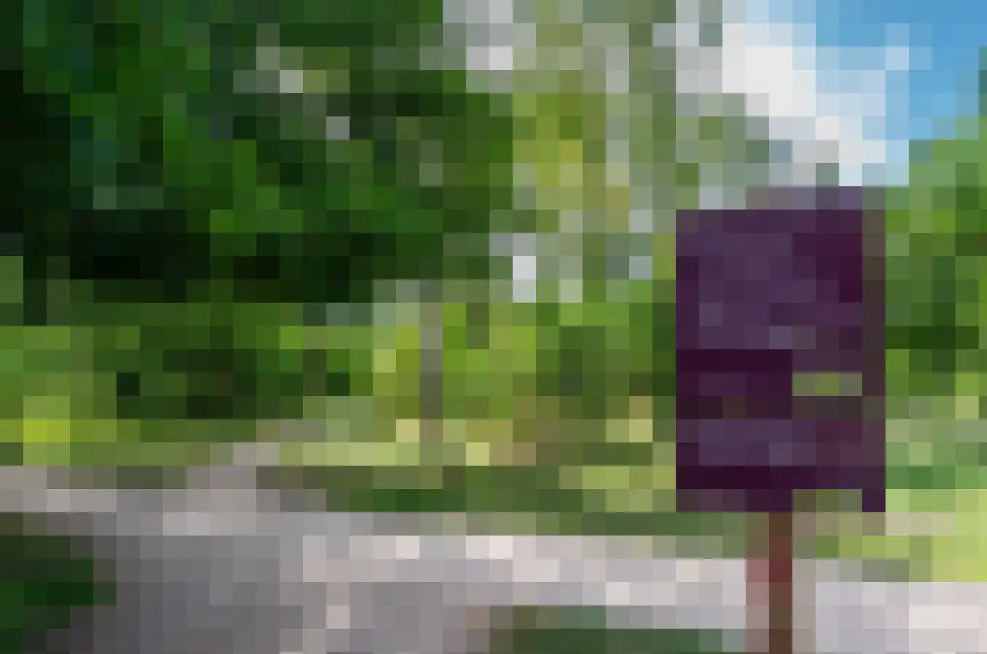 Van Wassenaerlaan 5 Hilversum thumbnail 41