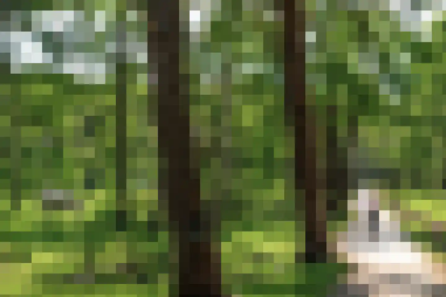 Van Wassenaerlaan 5 Hilversum thumbnail 42