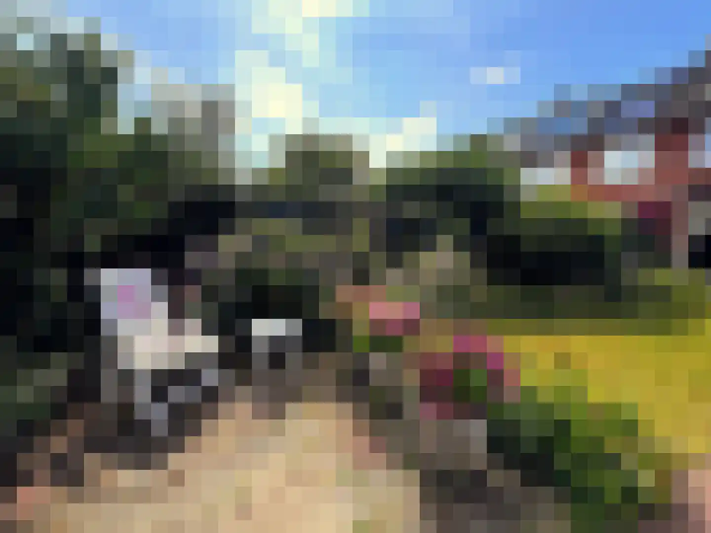 Van Wassenaerlaan 5 Hilversum thumbnail 8