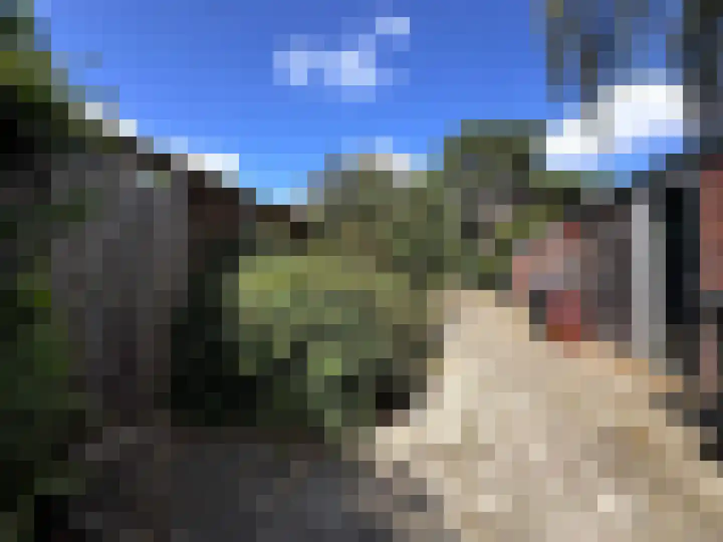 Van Wassenaerlaan 5 Hilversum thumbnail 9