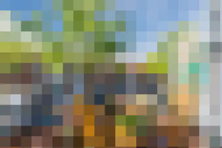 van Wassenaerlaan 8 Oegstgeest thumbnail 11