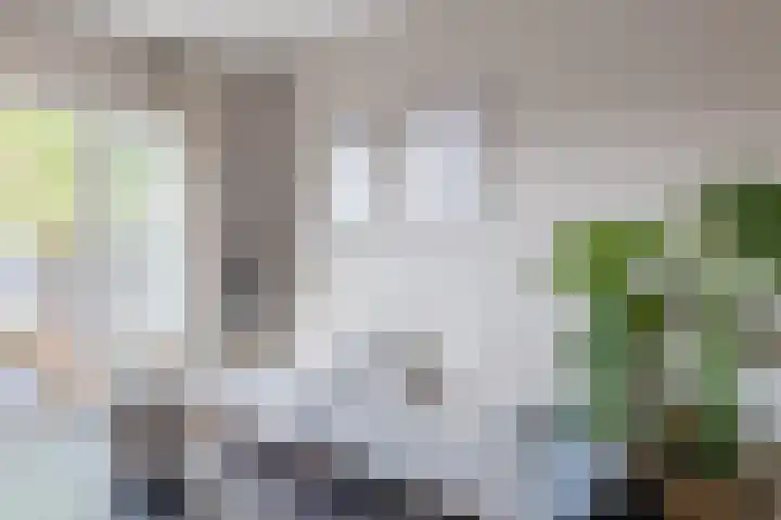 van Wassenaerlaan 8 Oegstgeest thumbnail 14