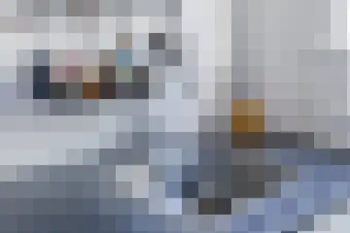 van Wassenaerlaan 8 Oegstgeest thumbnail 21