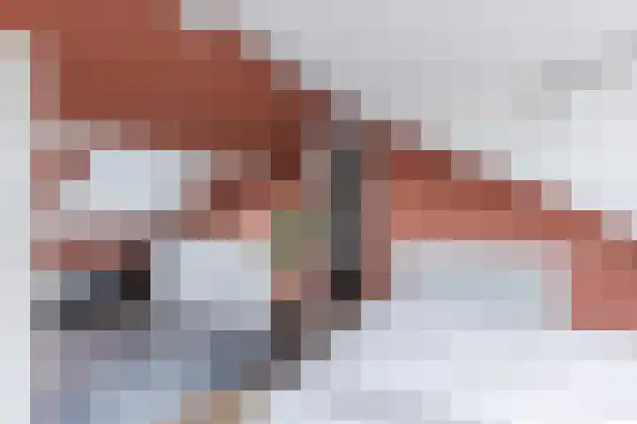 van Wassenaerlaan 8 Oegstgeest thumbnail 30