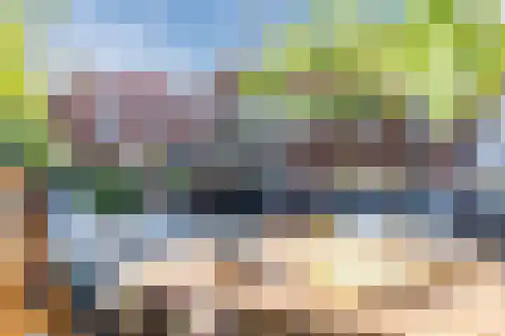 van Wassenaerlaan 8 Oegstgeest thumbnail 38