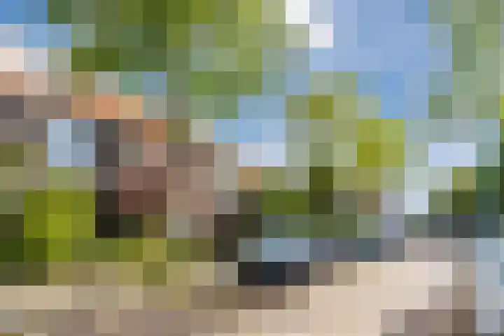 van Wassenaerlaan 8 Oegstgeest thumbnail 4