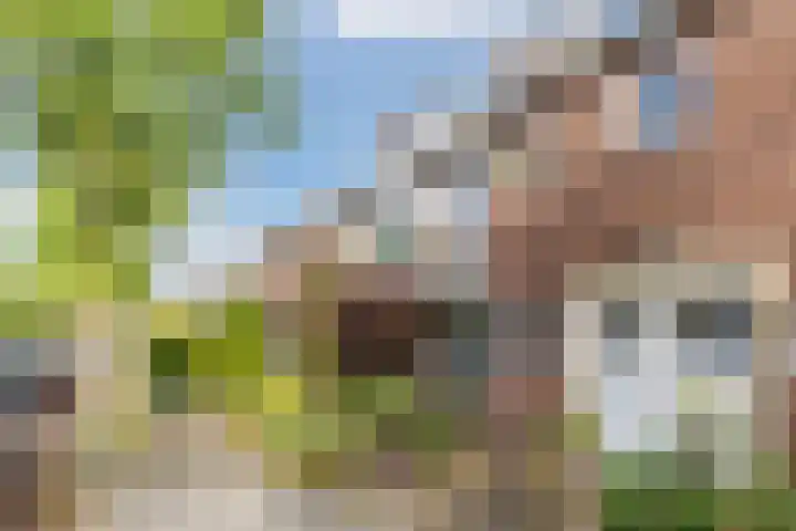 van Wassenaerlaan 8 Oegstgeest thumbnail 6