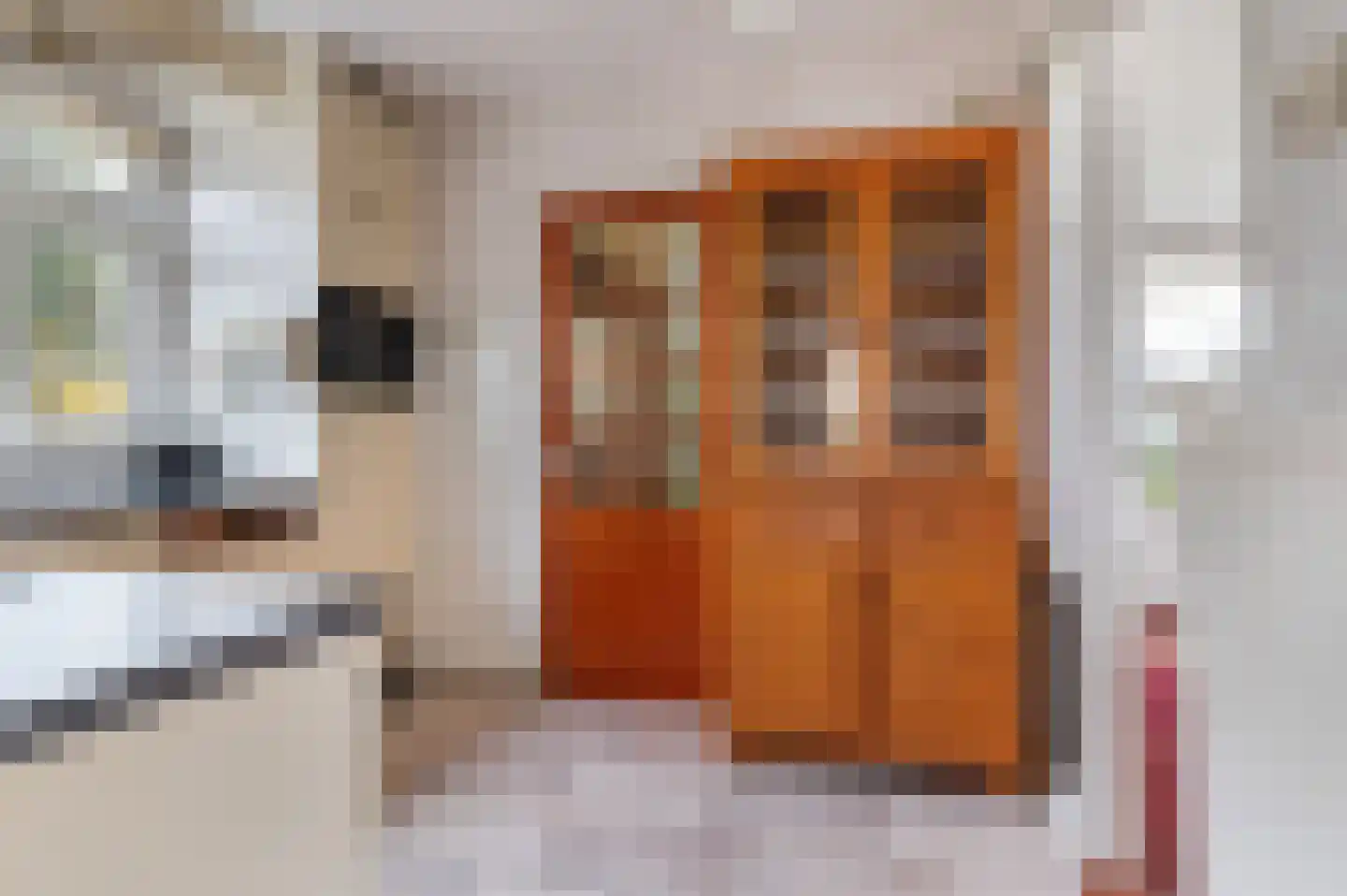 van Wassenaerlaan 9 Almen thumbnail 12