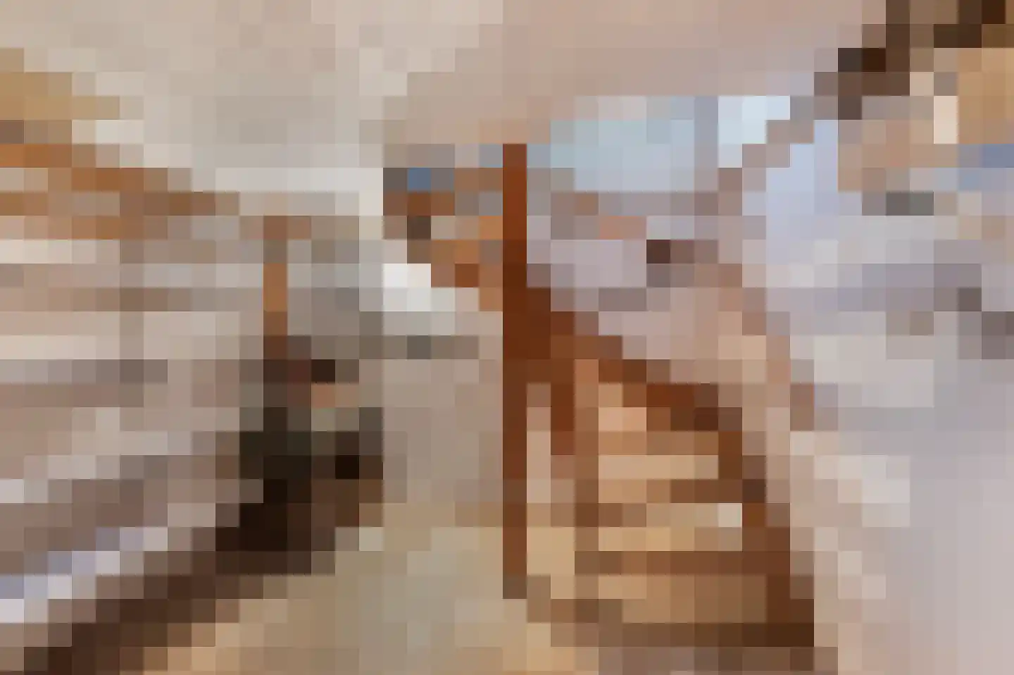van Wassenaerlaan 9 Almen thumbnail 32