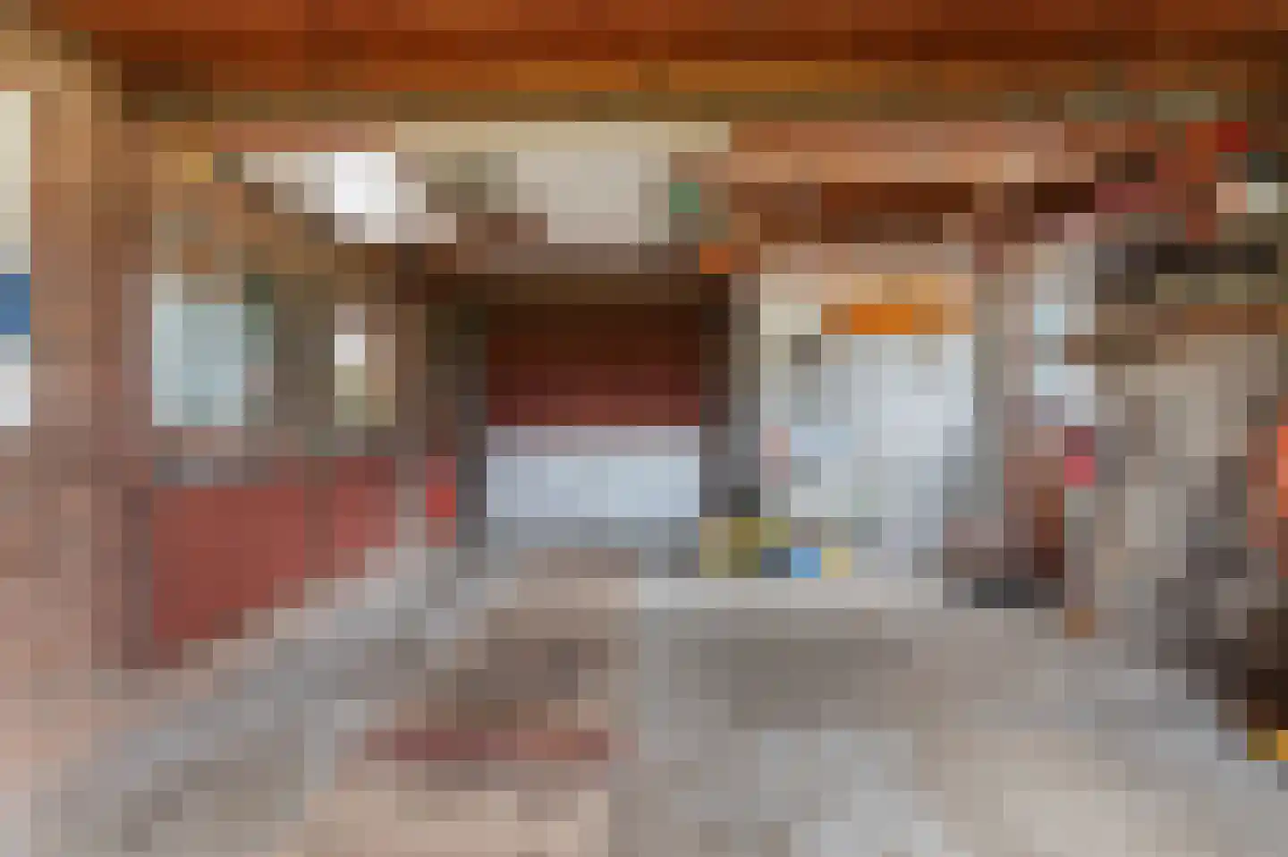 van Wassenaerlaan 9 Almen thumbnail 35