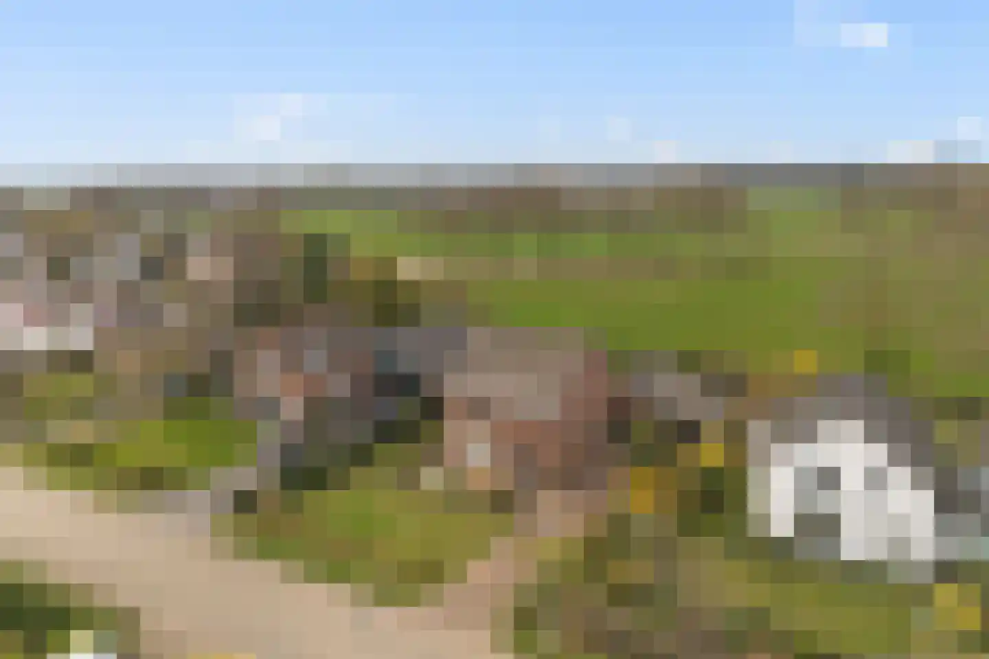 van Wassenaerlaan 9 Almen thumbnail 41