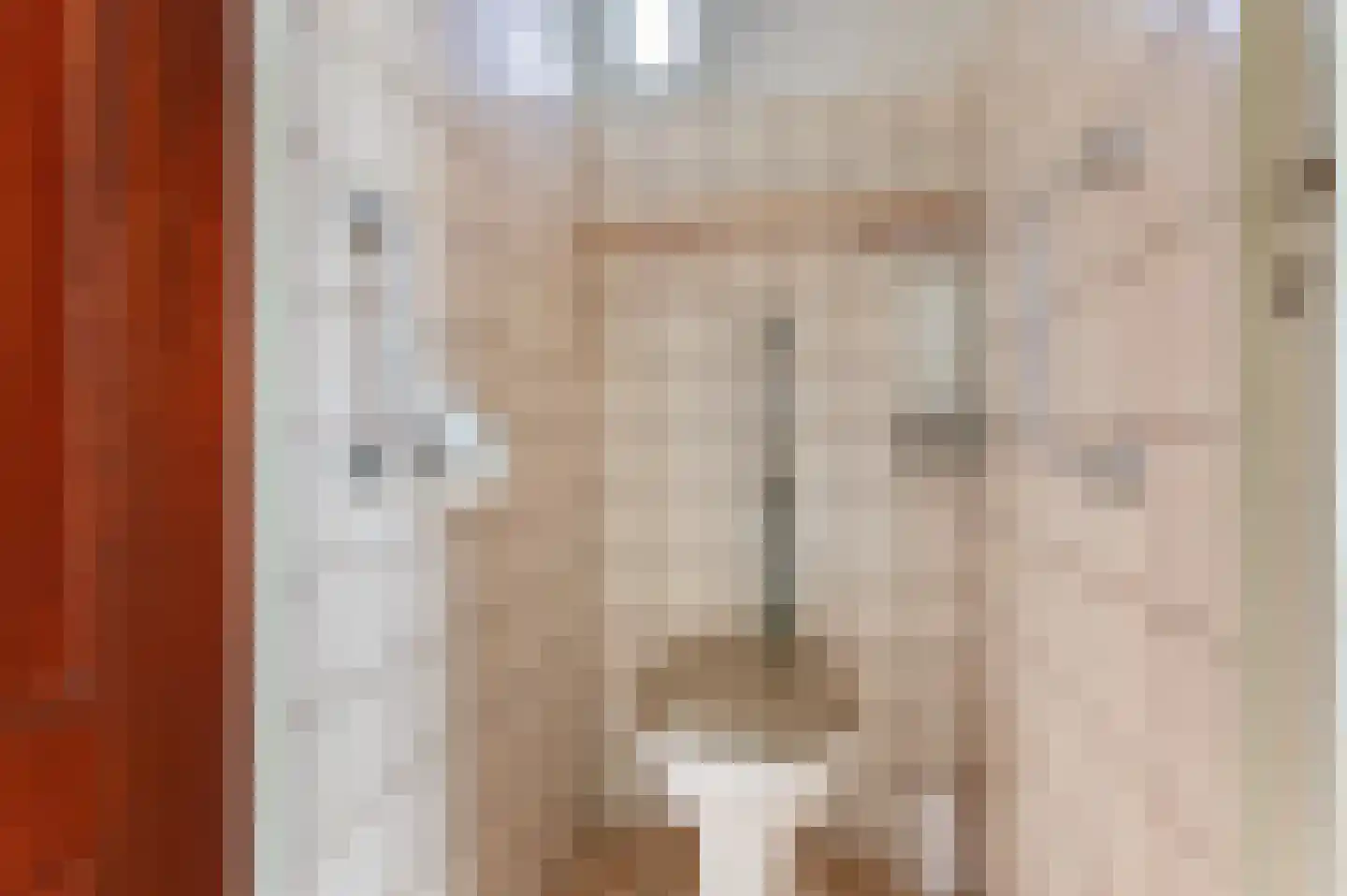 van Wassenaerlaan 9 Almen thumbnail 7