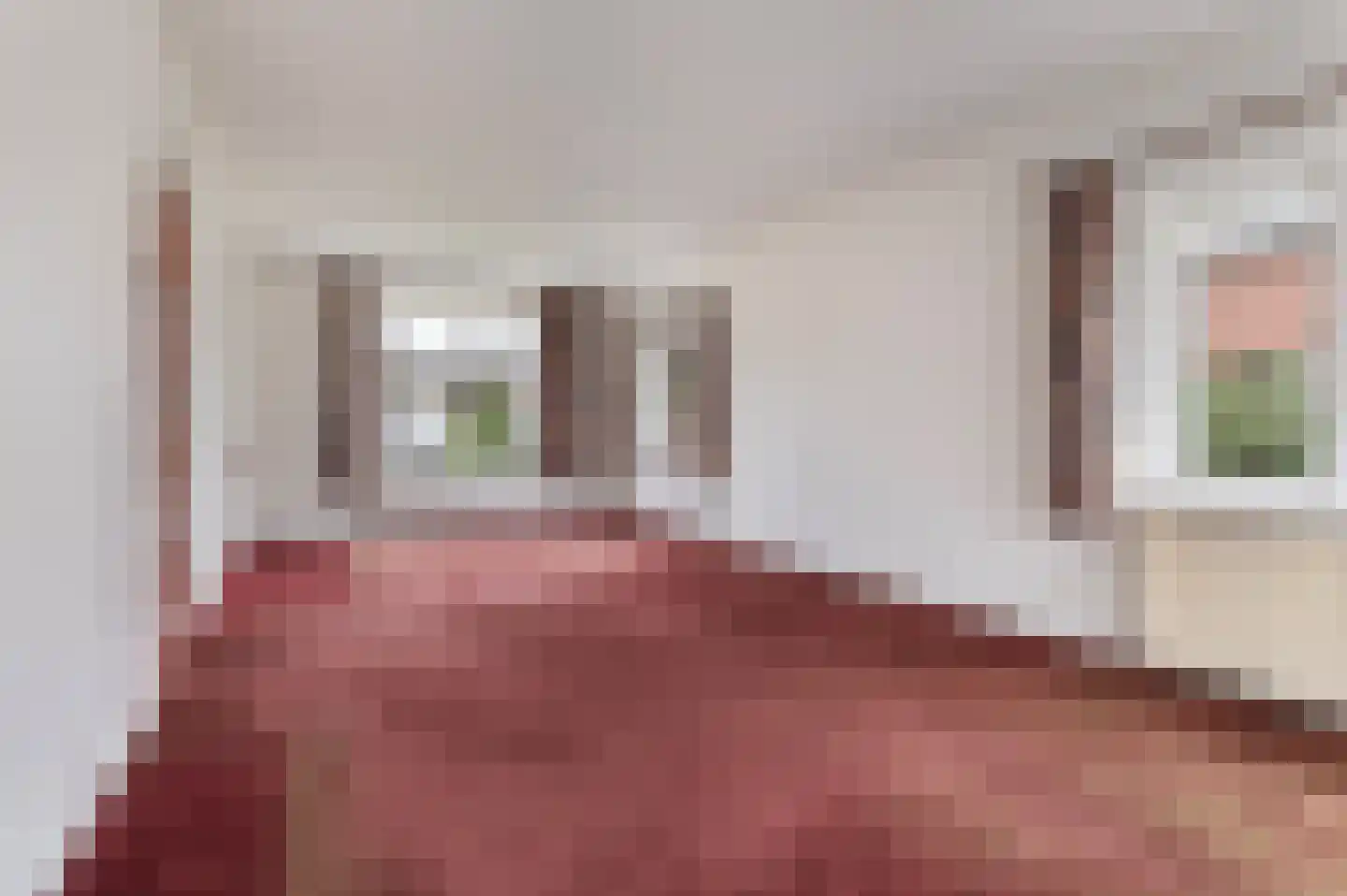 van Wassenaerlaan 9 Almen thumbnail 9
