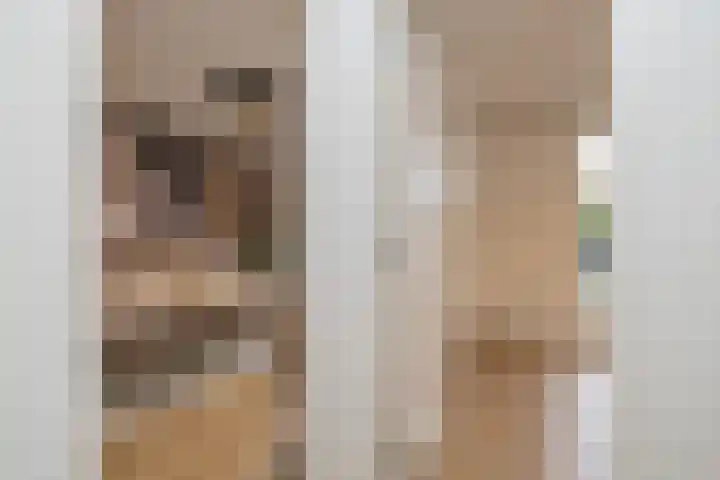 van Wassenaerlaan 9 Oegstgeest thumbnail 11