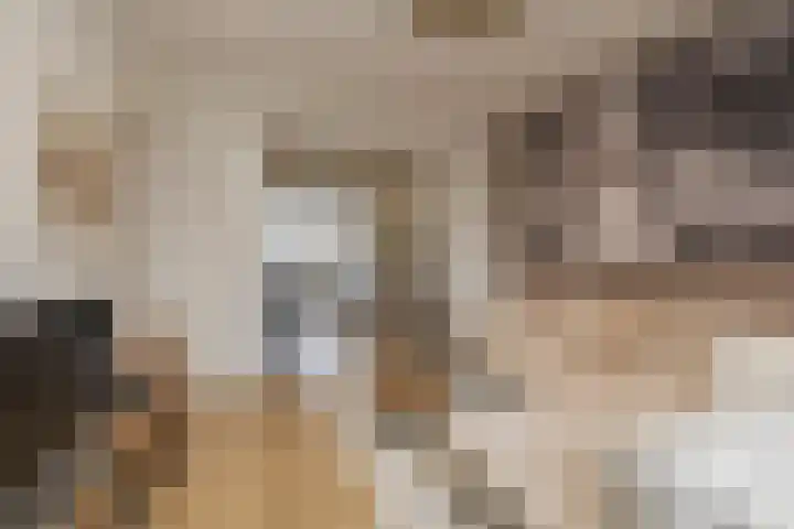 van Wassenaerlaan 9 Oegstgeest thumbnail 17