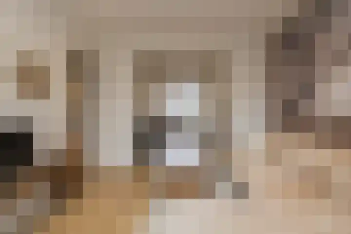 van Wassenaerlaan 9 Oegstgeest thumbnail 18