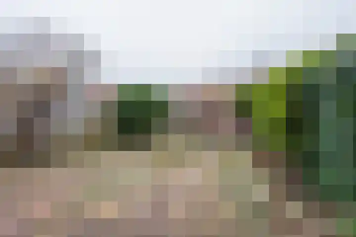 van Wassenaerlaan 9 Oegstgeest thumbnail 24