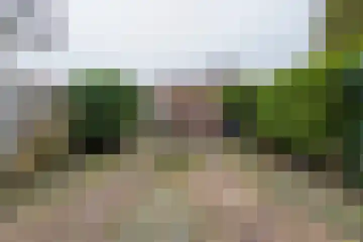 van Wassenaerlaan 9 Oegstgeest thumbnail 25