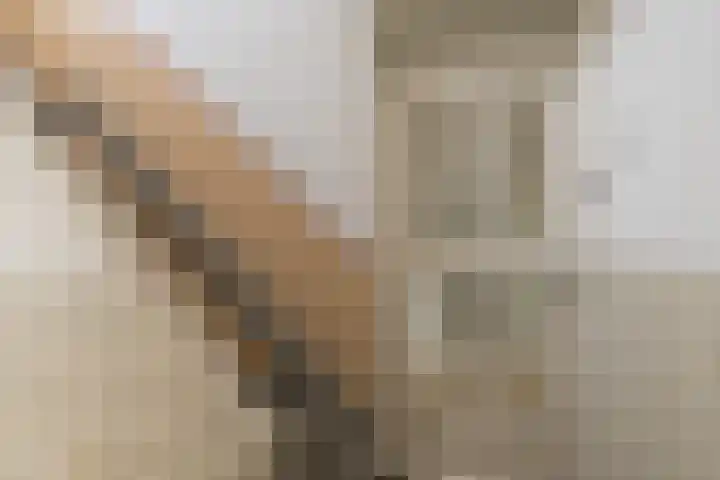 van Wassenaerlaan 9 Oegstgeest thumbnail 5