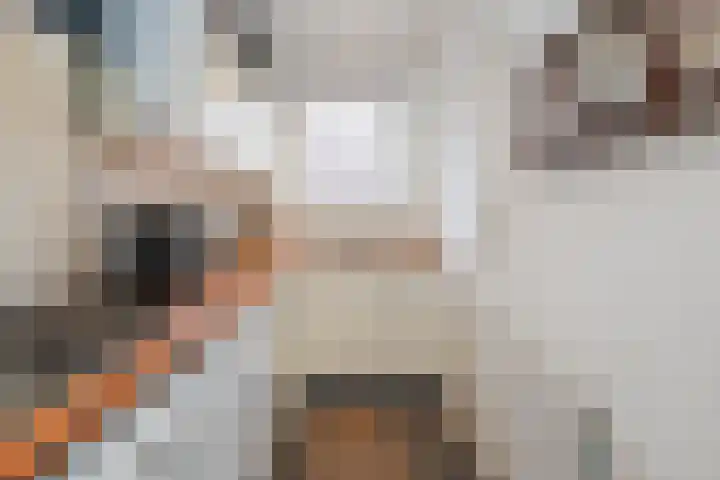 van Wassenaerlaan 9 Oegstgeest thumbnail 7