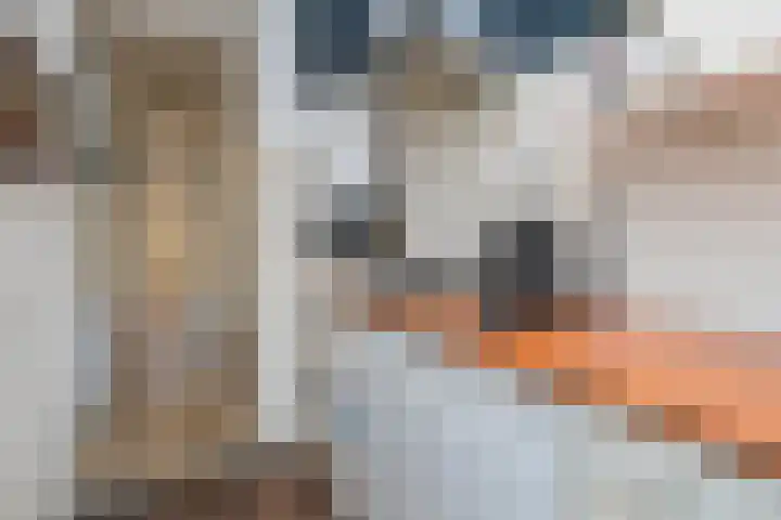 van Wassenaerlaan 9 Oegstgeest thumbnail 8