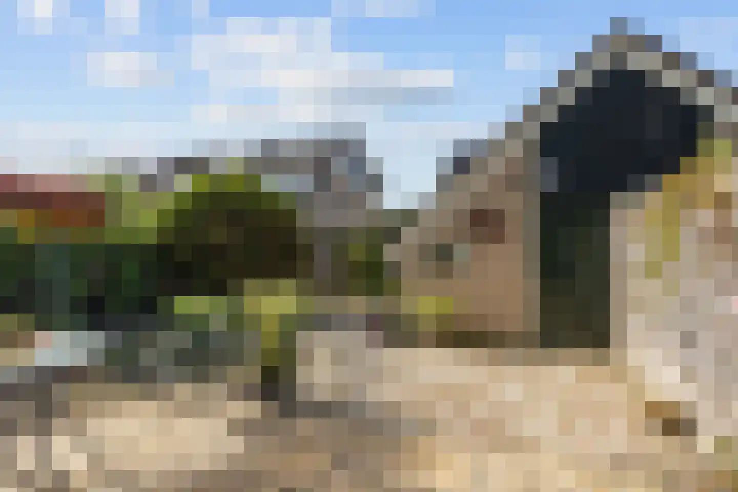 van Wassenaerplein 12 Zuidhorn thumbnail 30