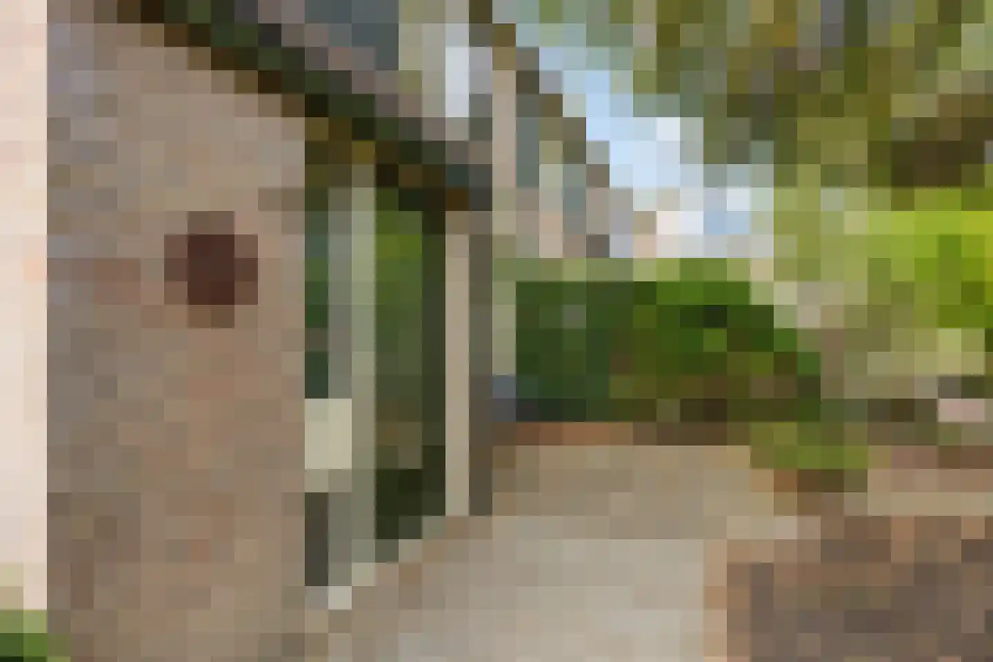 van Wassenaerplein 12 Zuidhorn thumbnail 9