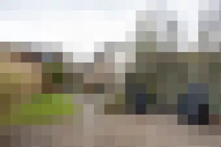van Wassenaerplein 22 Zuidhorn thumbnail 14