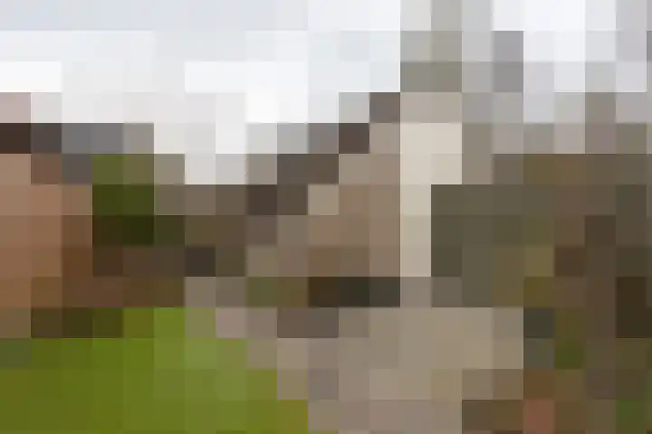 van Wassenaerplein 22 Zuidhorn thumbnail 15