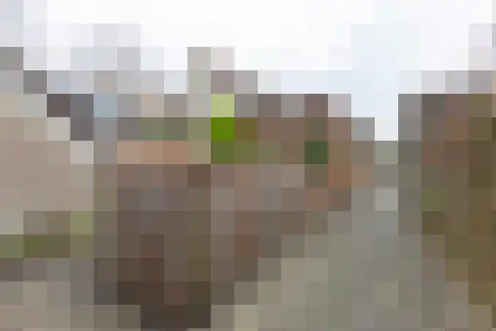 van Wassenaerplein 22 Zuidhorn thumbnail 18