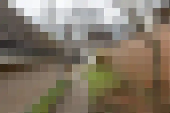 van Wassenaerplein 22 Zuidhorn thumbnail 19