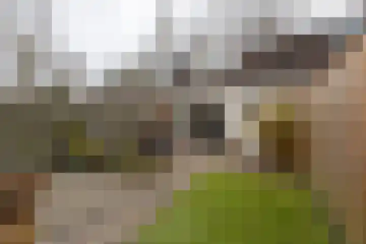 van Wassenaerplein 22 Zuidhorn thumbnail 20