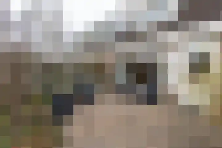 van Wassenaerplein 22 Zuidhorn thumbnail 21
