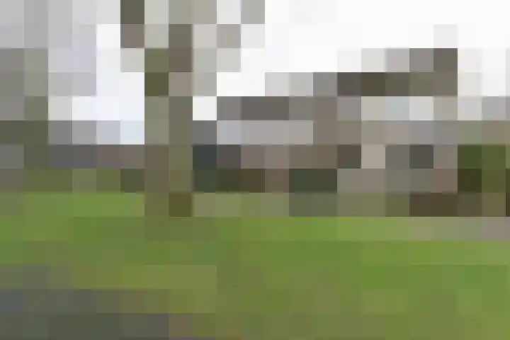 van Wassenaerplein 22 Zuidhorn thumbnail 4