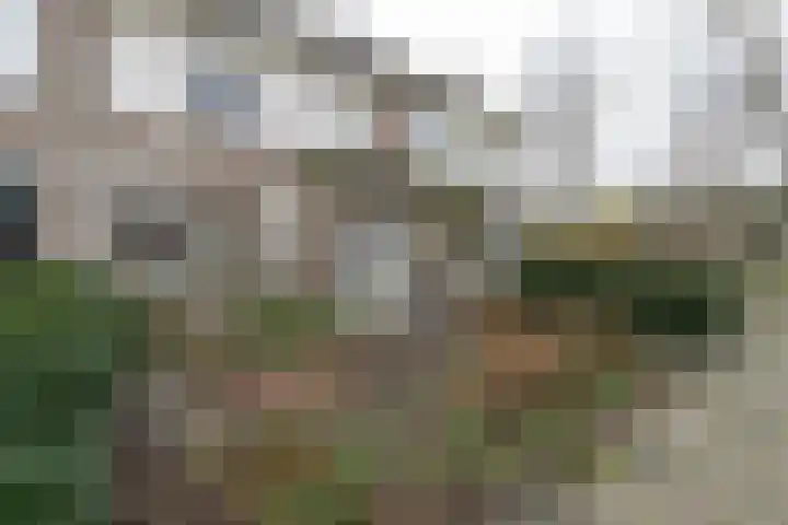 van Wassenaerplein 22 Zuidhorn thumbnail 41