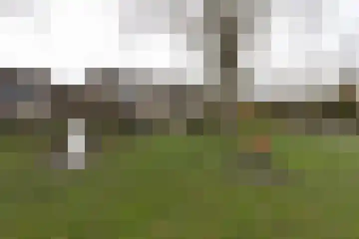van Wassenaerplein 22 Zuidhorn thumbnail 42