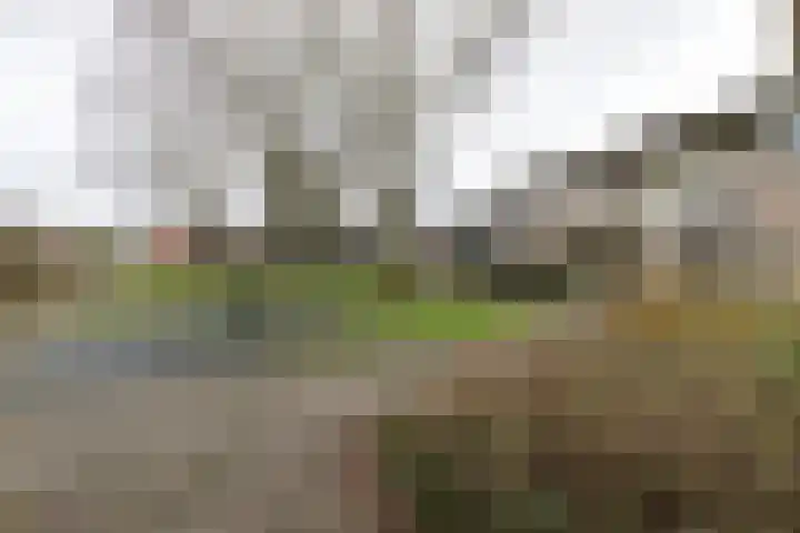 van Wassenaerplein 22 Zuidhorn thumbnail 44