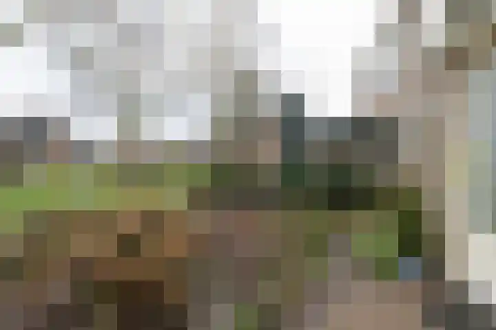 van Wassenaerplein 22 Zuidhorn thumbnail 5
