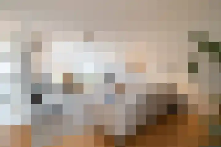van Wassenaerplein 22 Zuidhorn thumbnail 7