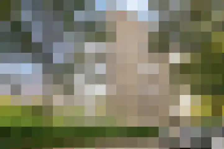van Wassenaersheuvel 101 Oosterbeek thumbnail 19
