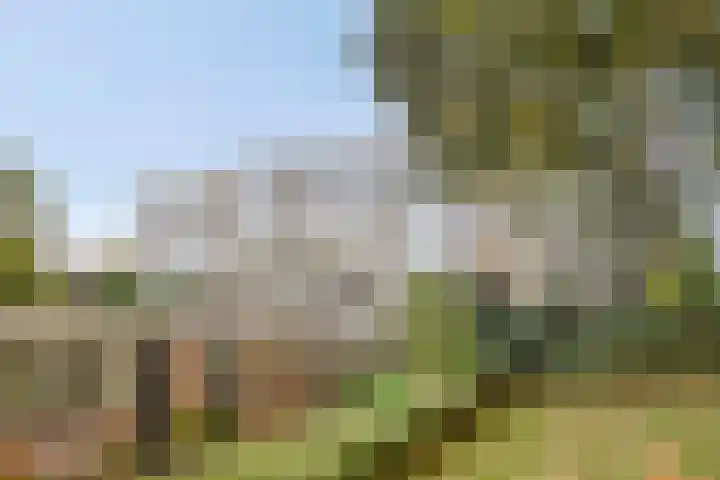 van Wassenaersheuvel 101 Oosterbeek thumbnail 20