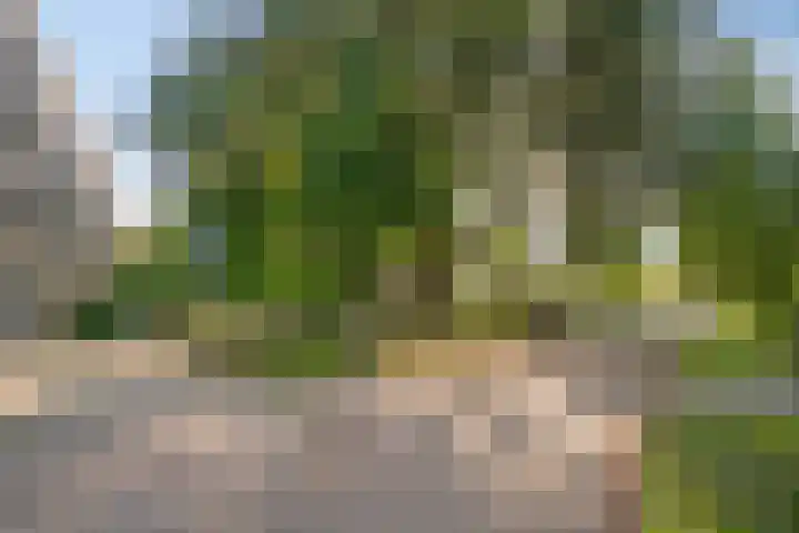 van Wassenaersheuvel 101 Oosterbeek thumbnail 21