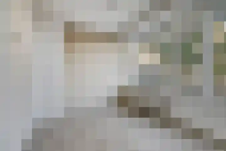 van Wassenaersheuvel 101 Oosterbeek thumbnail 6