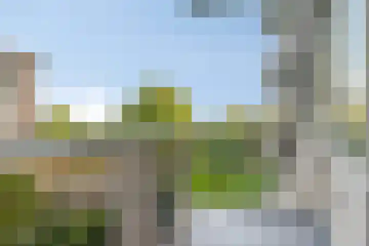 van Wassenaersheuvel 101 Oosterbeek thumbnail 8
